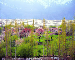 Skardu 1