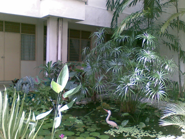 smk st mary