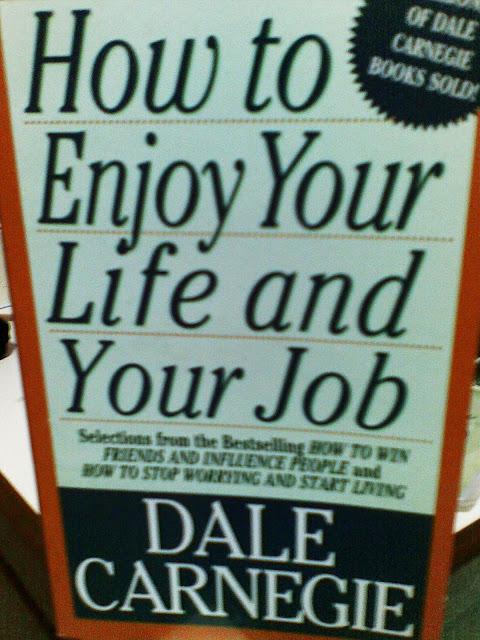 how to enjoy your life and your job