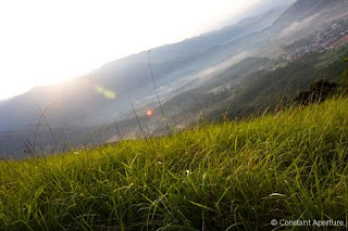 broga