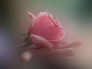 "Mâna care dăruieşte trandafirul va păstra veşnic parfumul lui minunat"