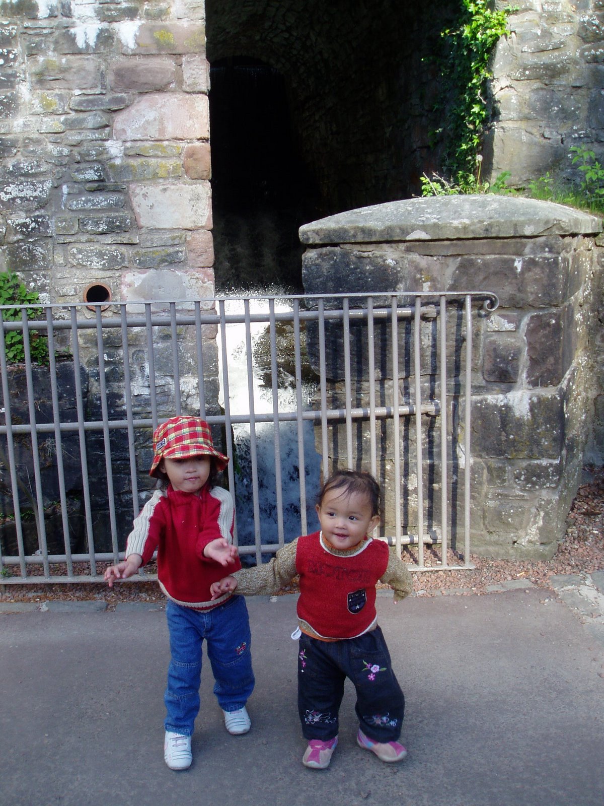[P1010009.JPG]