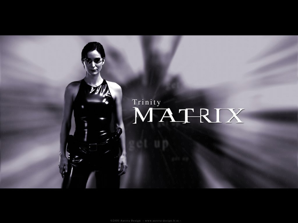 http://4.bp.blogspot.com/_LYtPJwBD1ng/TKTXMhPUcsI/AAAAAAAAkPU/p6bFu0oaIl8/s1600/Matrix_Trinity_1024.jpg