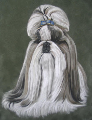 PUPPY CARE CENTER: SHIH TZU Puppy Care Center and The dog breed is a full service animal care