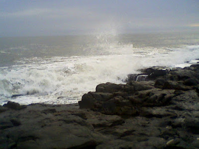 dr.ashok_koparday_india_ocean_edu