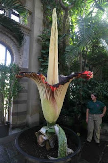 My! That's a big one!