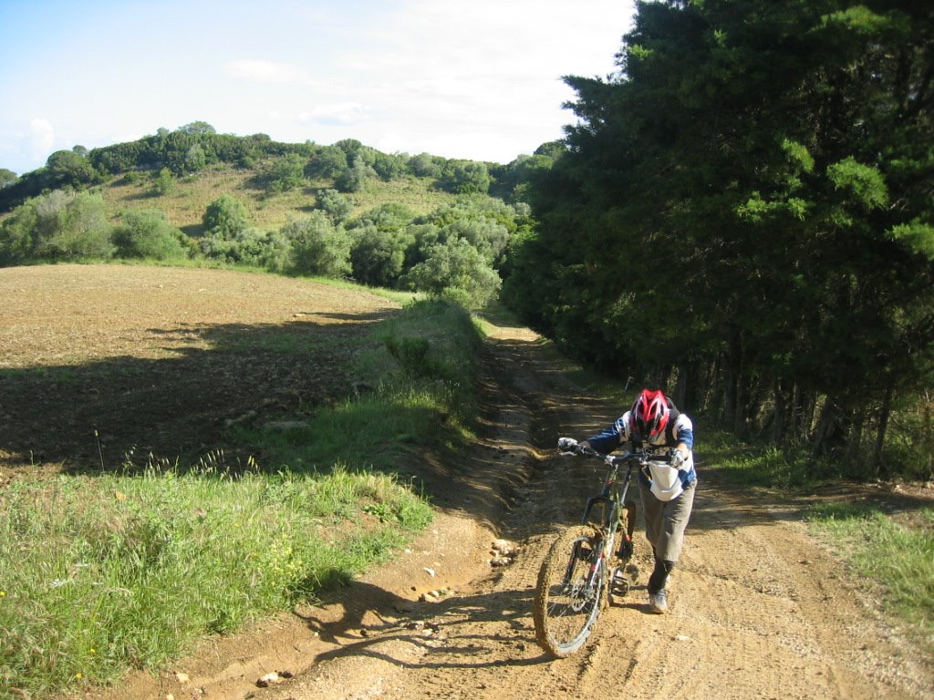 [IMG_1162.JPG]