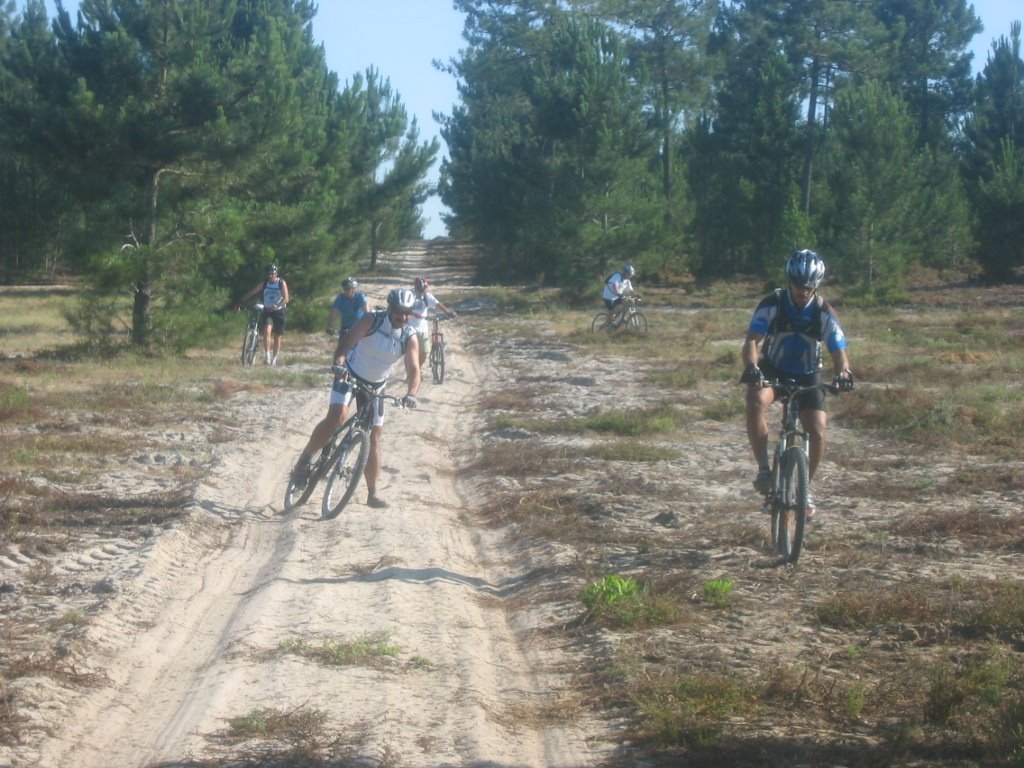 [IMG_1384.JPG]