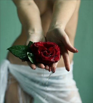 [rosa%252520na%252520m%2525C3%2525A3o.jpg]