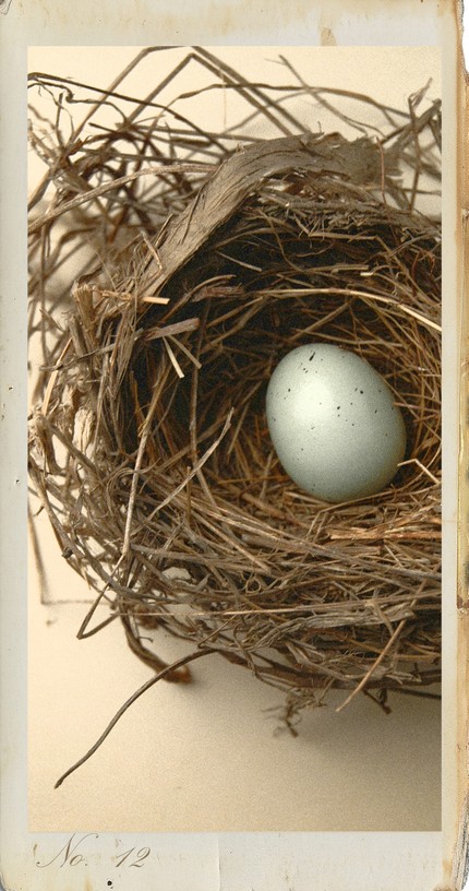 [nest+egg]