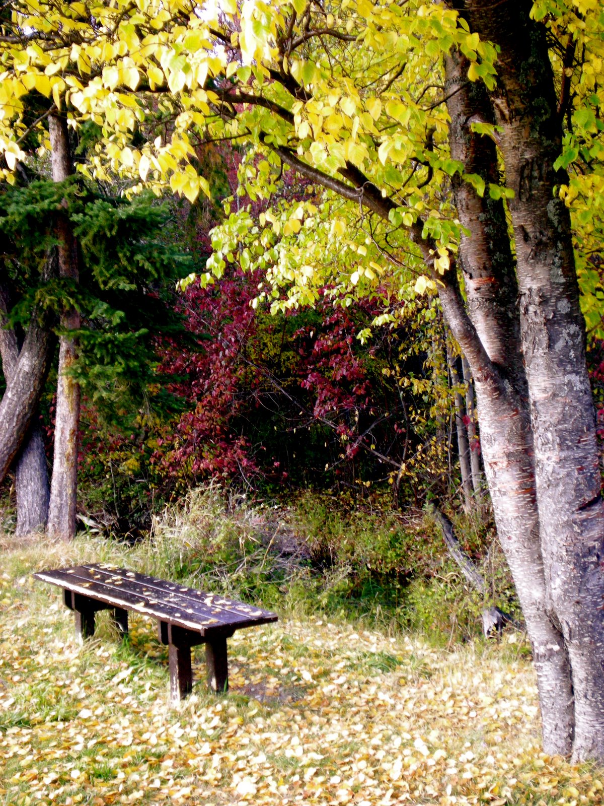 [DSCN0773.JPG]