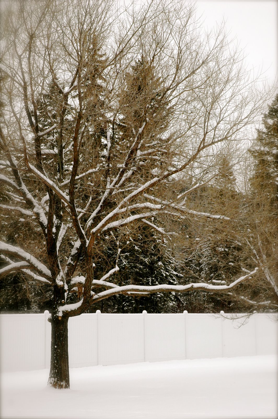 [DSC_9735.JPG]