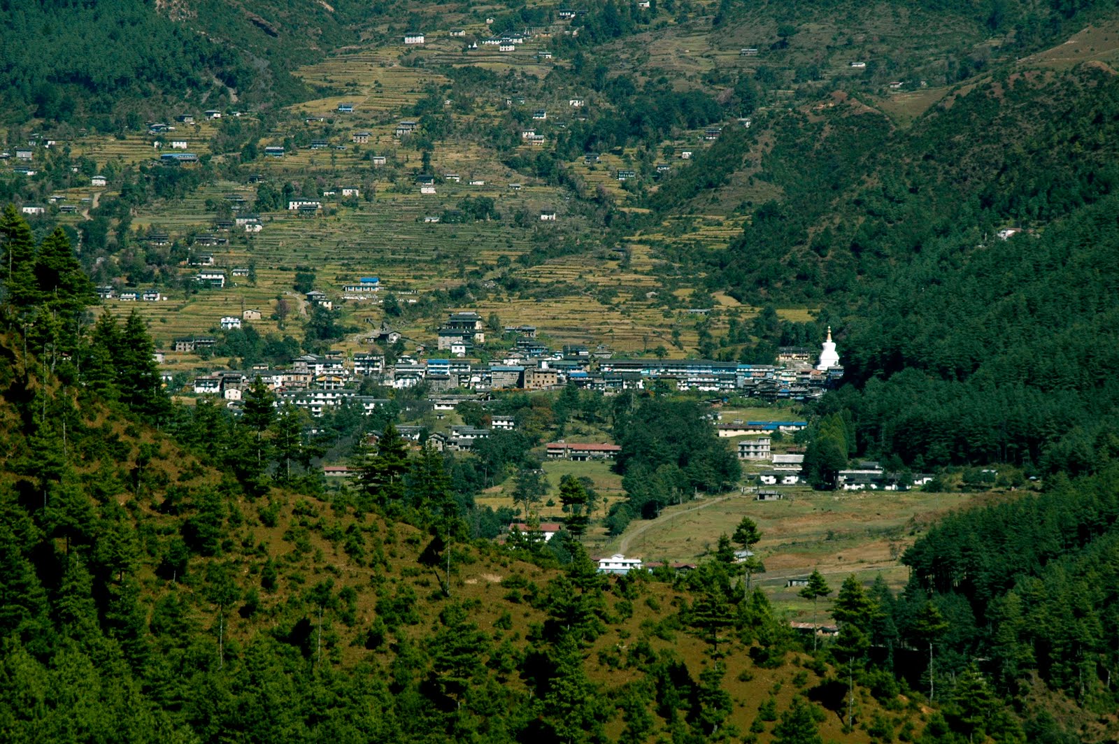 [DSC_2657.JPG]
