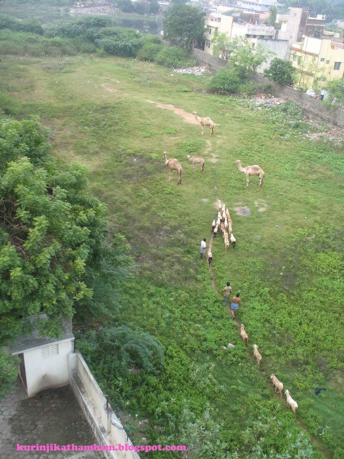 Adyar Park Chennai