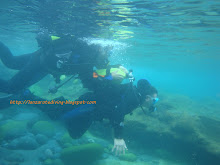 Buceo en Lanzarote