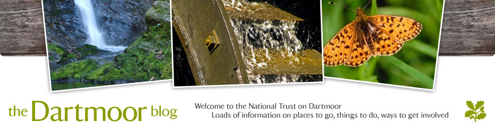 The National Trust on Dartmoor