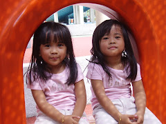 my lovely twins...