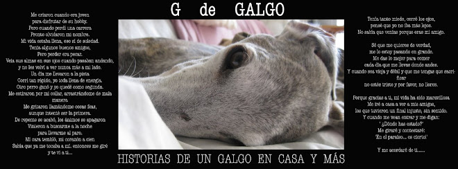 G    de   GALGO