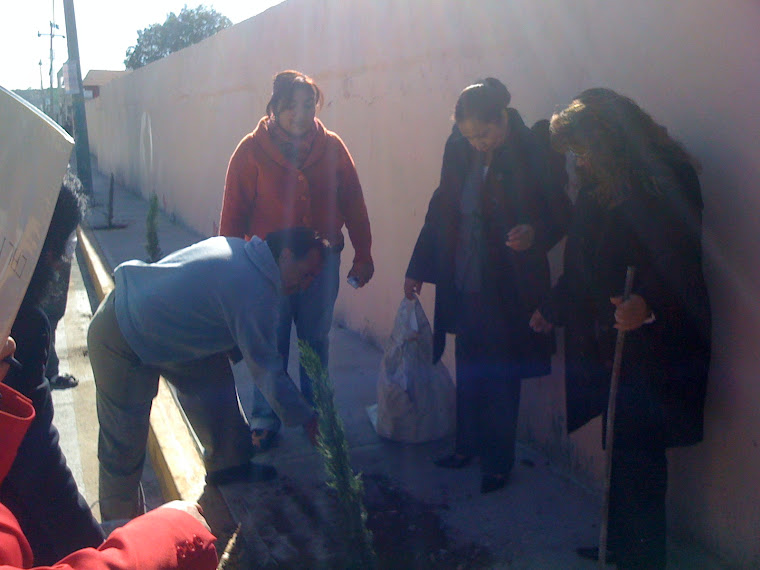 ACTIVIDADES EN LA ESCUELA PLANTAR UN ARBOL