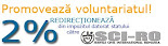 Voluntariat