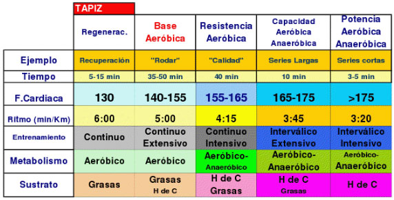 Otra forma de correr: Prueba de esfuerzo 2010 Otra forma de correr: Prueba de esfuerzo 2010