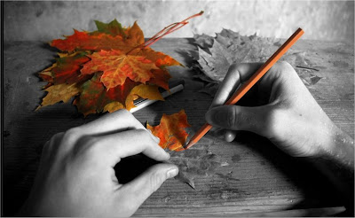 Random photos I've been saving . . . | Content in a Cottage