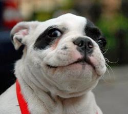 Smile for the camera.