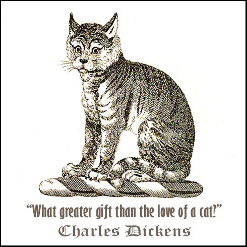Quote Cat