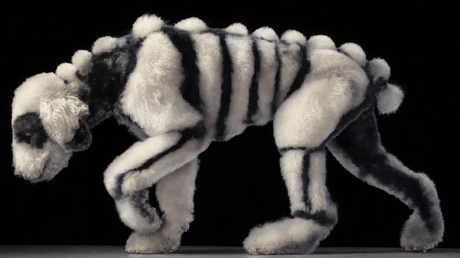 Skeleton Dog | Content in a Cottage