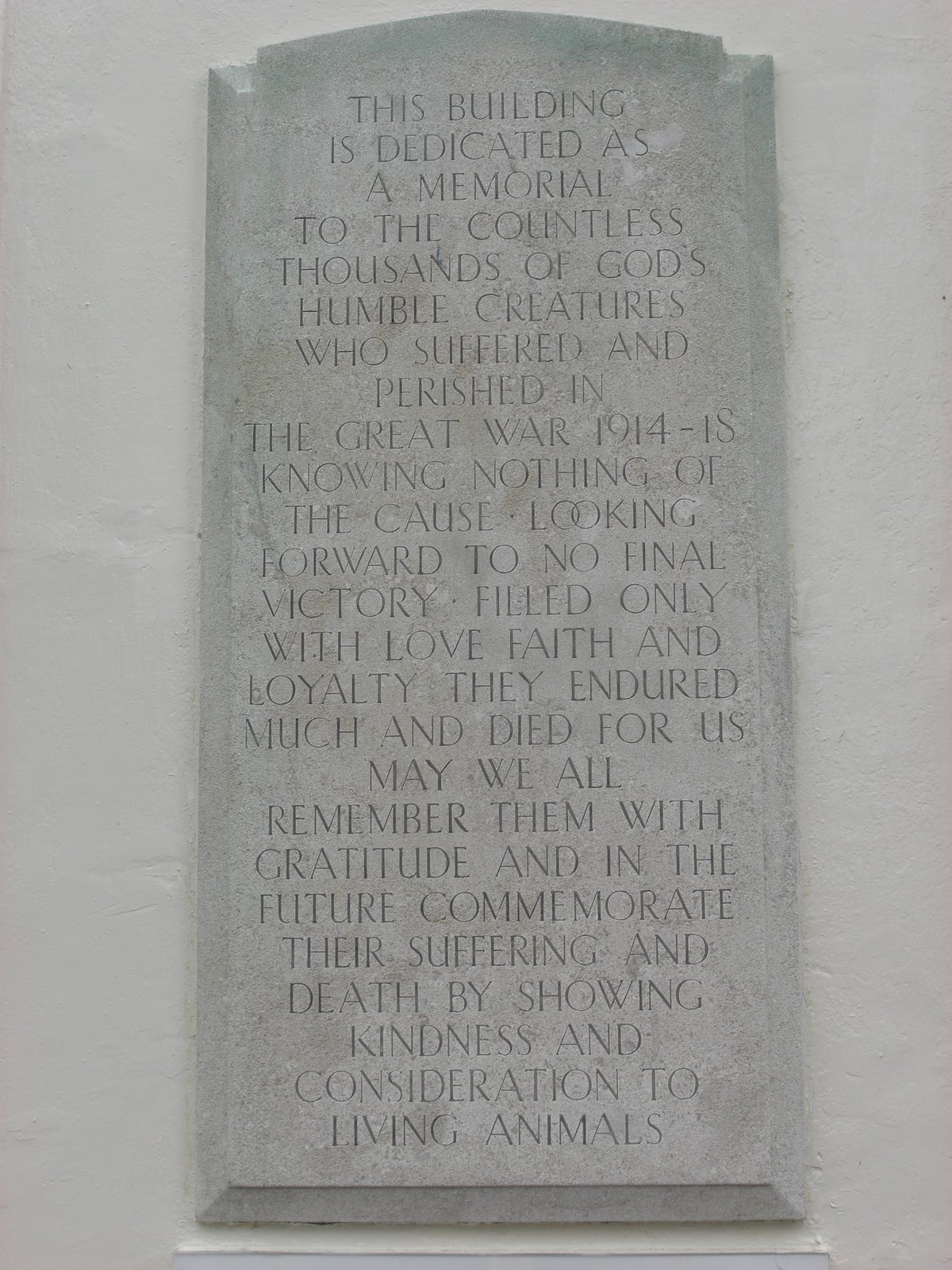 [Animal+plaque.JPG]
