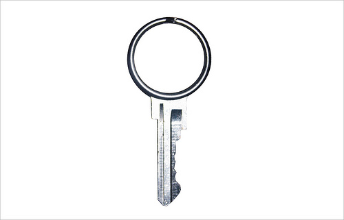 [split_ring_key.jpg]