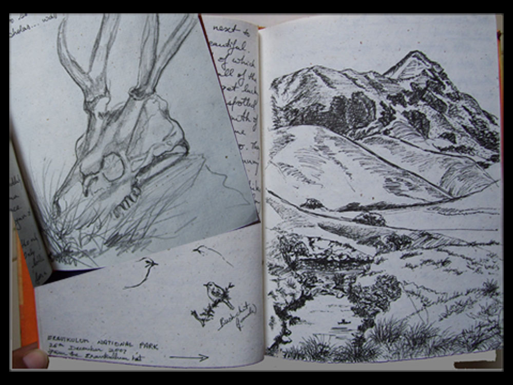 [Eravikulam+sketchcollage1+copy.jpg]
