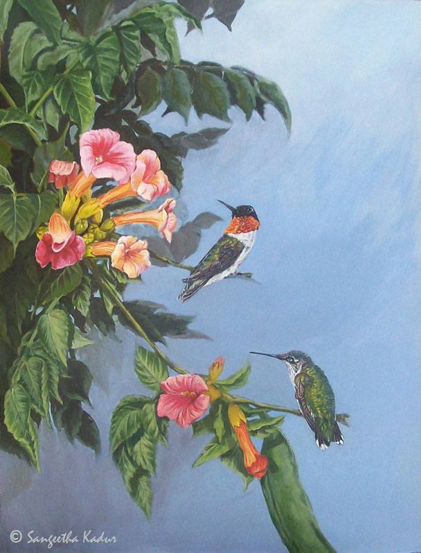 [Ruby-throated+Hummingbird-copyright.jpg]