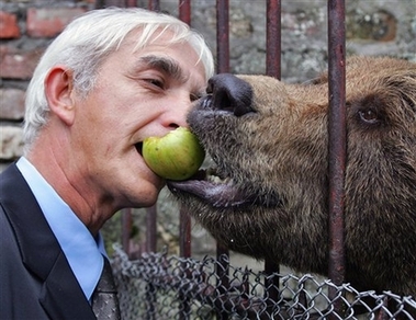 [warcrimeandbear_Yahoo.jpg]