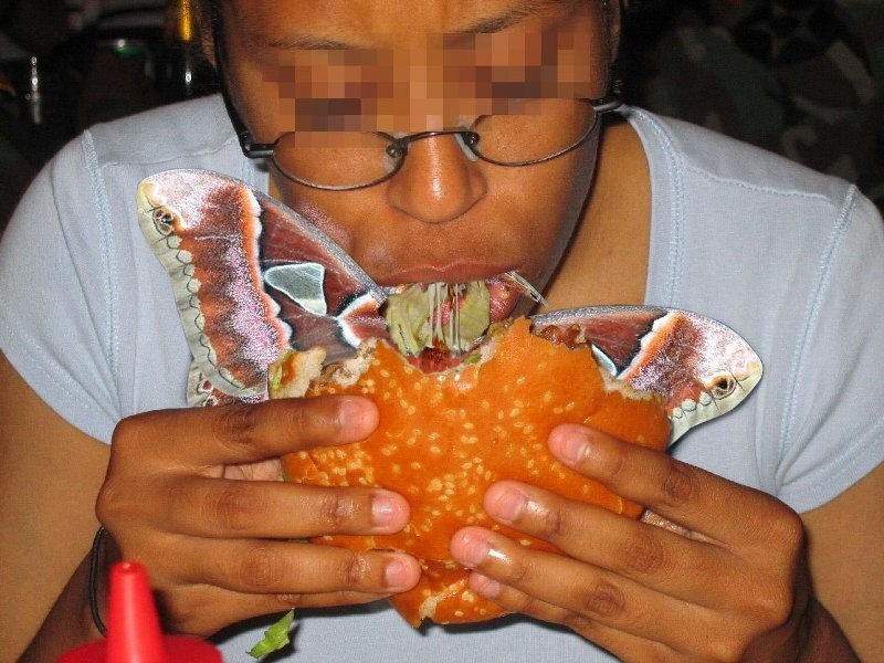 [womaneatingbutterfly_knuttz.jpg]