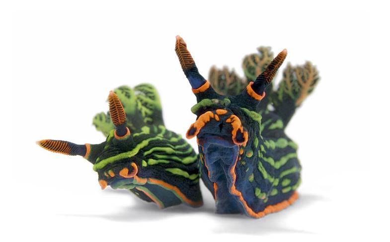 [Nudibranchs+-+David+Doubilet.JPG]