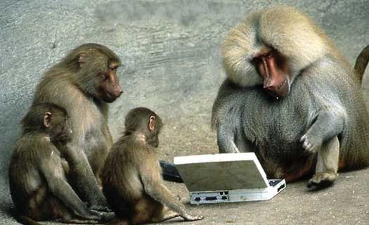 [Computer+Monkeys+-+ChrisL+AK+(flickr).jpg]
