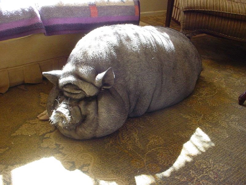 Ugly Overload: Soaking Up The Sun