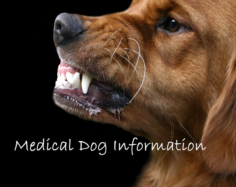 medical dog information