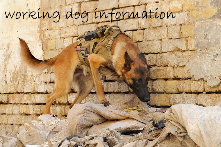 working dog information
