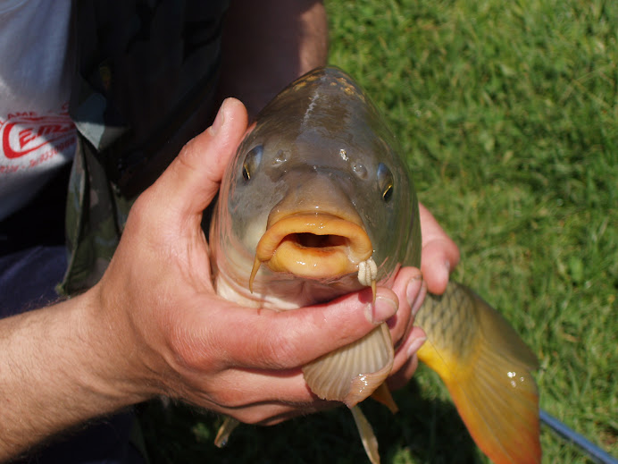 Castelli Romani Fishing