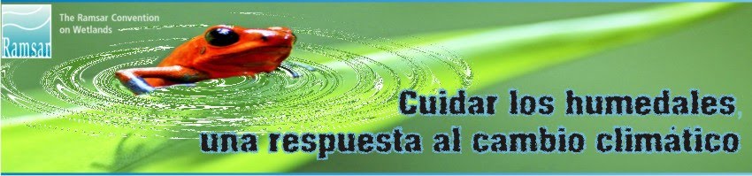 CASTILLO DE HUMEDALES