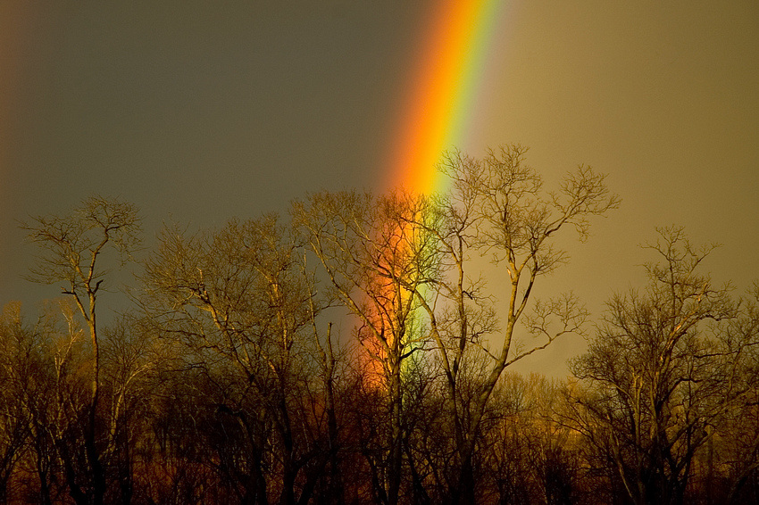 [rainbow.jpg]