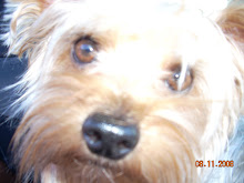 Baxter