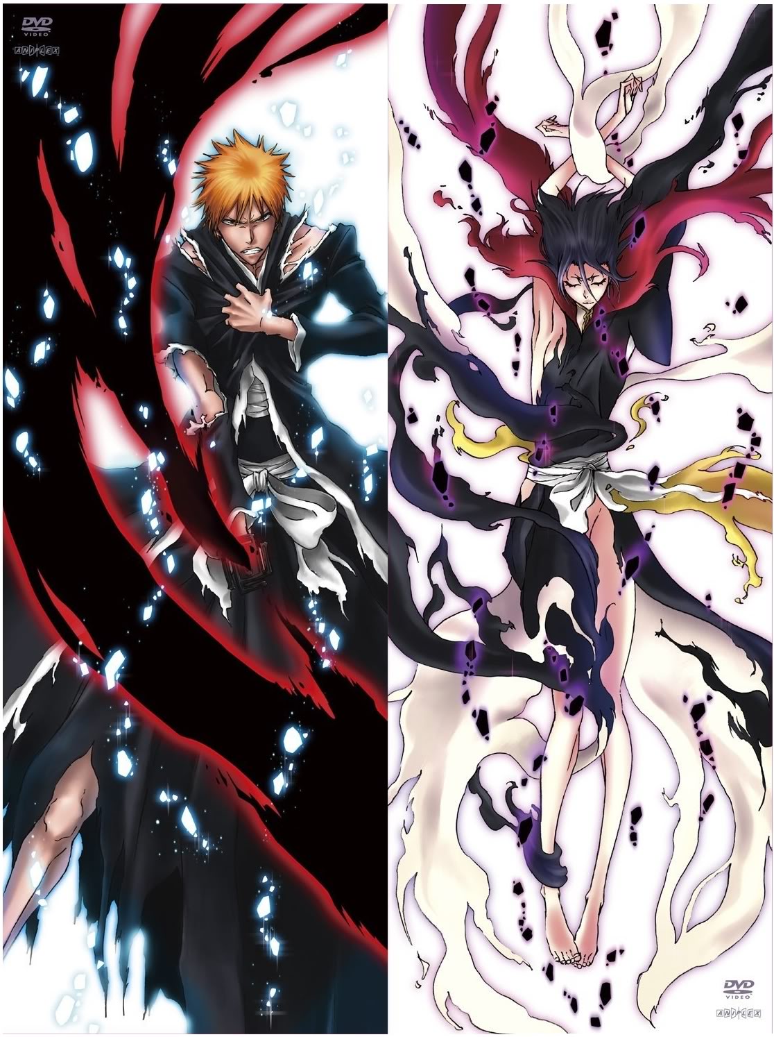 bleach asylum