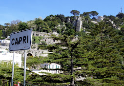 The Island of Capri