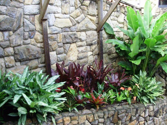 Jardinería e Imagen: ANTES & DESPUÉS: RENOVACIÓN DE DOS JARDINES