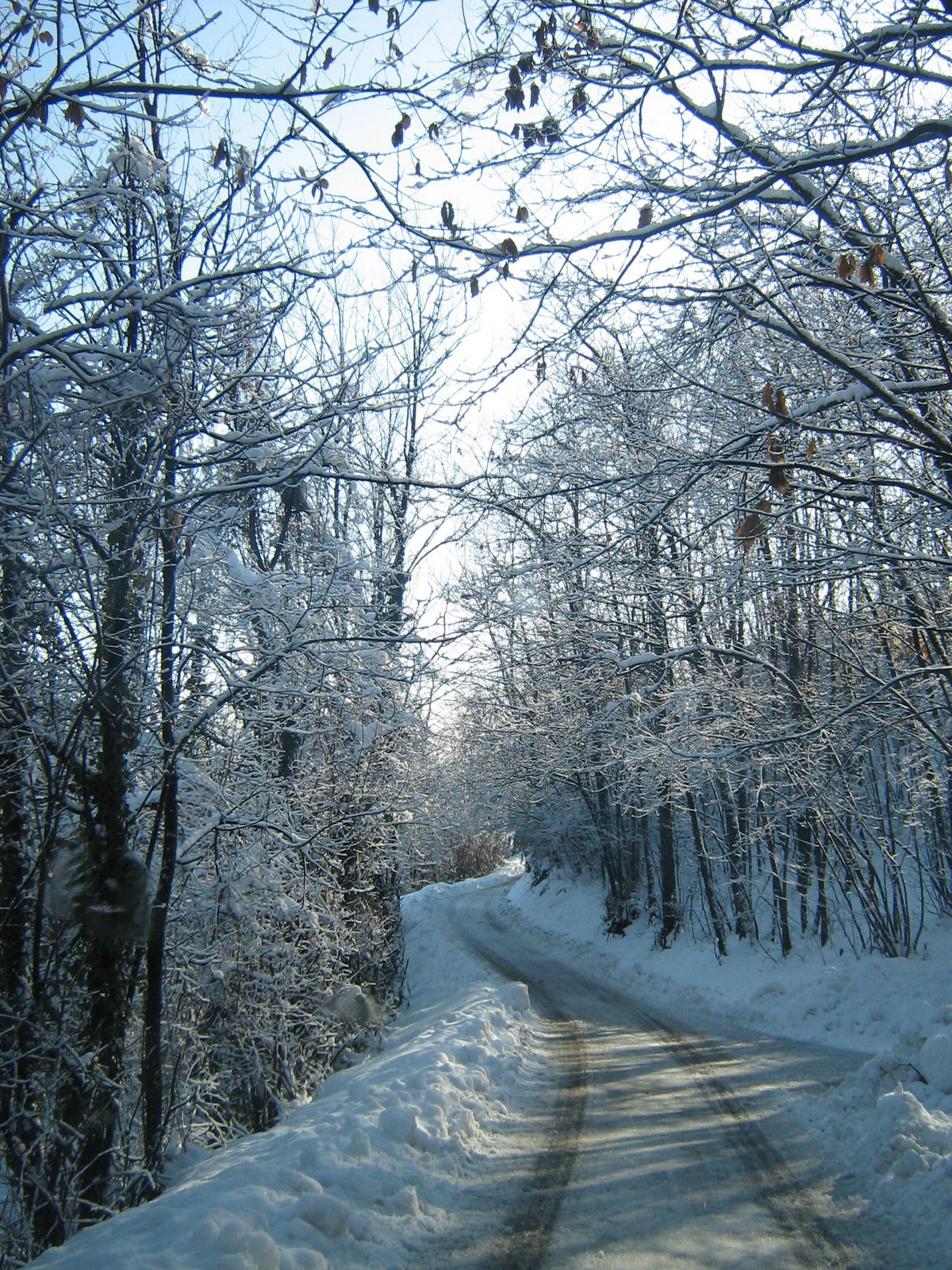 [Img_2085.jpg]
