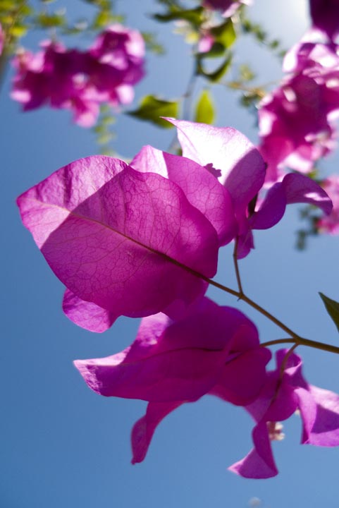 [193_Staton_Winter2.jpeg]