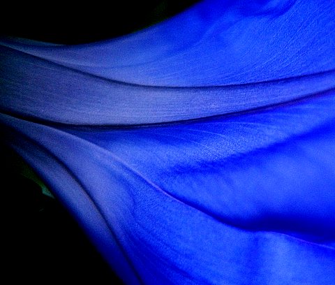 [304_richard_raderman.JPG]